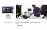 What is Lung Protective Ventilation? - nbart.ca Protective Ventilation 2016 Web... · What is lung protective ventilation? § Any ventilation strategy that aims to minimize or prevent