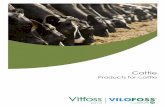 Cattle - Vilofossvitfoss.com/media/56396/minerals-for-cattle_gb2014_web.pdfvitamins and micro minerals than our other VM products. Kravimin milk & beef is a compound feed for better