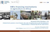 EIB’s financing mechanisms...European Investment Bank 1 EIB’s financing mechanisms in agriculture in Africa Brussels, 25 November 2014 Heike Rüttgers, Head of ACP-IF Portfolio