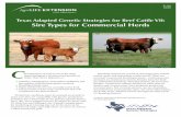 Texas Adapted Genetic Strategies for Beef Cattle VII: Sire Types …animalscience.tamu.edu/wp-content/uploads/sites/14/2012/... ·  · 2018-04-23Texas Adapted Genetic Strategies