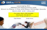 Leveraging NCI SBIR/STTR Opportunities with Direct to ... webi… · Leveraging NCI SBIR/STTR Opportunities with Direct to Phase II Pilot and Phase IIB Bridge Awards March 6, 2014