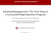 Calving Management: The First Step in a Successful ... Schuenemann... · Calving Management: The First Step in a Successful Reproductive Program G.M. Schuenemann, S. Bas, and J.D.