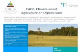 CAOS: Climate-smart Agriculture on Organic Soils · CAOS – Climate smart Agriculture on Organic Soils Why are peatlands important for the climate? •drained peatland emit large
