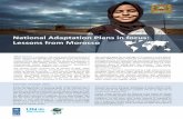 National Adaptation Plans in focus: Lessons from Morocco and... · 2019-07-02 · fight climate change. The plan includes adaptation, mitigation, and transversal actions. In 2014,