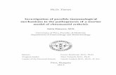 Investigation of possible immunological mechanisms in the pathogenesis of a murine model of rheumatoid arthritisaok.pte.hu/docs/phd/file/dolgozatok/2013/Hanyecz_Anita_angol_tezisfuzet.pdf ·