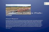 California Tribes Fish-Use - California State Water ... fish_use.pdfCalifornia Tribes Fish-Use . Final Report. California tribes have used fish for ceremony, diet, and as a part of