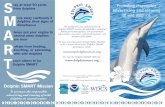 tay at least 50 yards from dolphins advertising and ... · Dolphin SMART Dolphin SMART Mission To promote the responsible advertising and viewing of wild dolphins in coastal waters