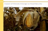 Impact of Climate Change on Food Security1 › Report2014 › E › p130-155 chp5eng.pdf · 132 Chapter 5 impaCt oF Climate Change on FooD SeCUritY I. IntroductIon Climate change