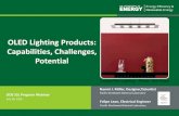 OLED Lighting Products: Capabilities, Challenges, Potential · OLED Lighting Products: Capabilities, Challenges, Potential . Webinar outline • Introduction to OLED panels and drivers