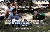Smallholder Organising for RSPO 2. Certification Lesson Learned... · Pelatihan GAP (perawatan, pemanenan, pasca panen, dan budidaya) Kelembagaan petani Kemudahan akses informasi,