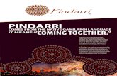 PINDARRIpindarri.com.au/pdfs/Pindarri-Flyer_pdf.pdf · Enhancing workforce capability Proactive development of internal mentoring relationships Provision of support, guidance and