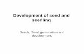 2. Development of seed and seedlingSeed germination • Period of quiescence: stage between embryo development and embryo growth • Germination: Events starting from hydration of