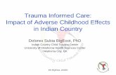   Trauma Informed Care: Impact of Adverse Childhood Effects ... Informed Care Impact of...DS BigFoot, 2016© 1 Trauma Informed Care: Impact of Adverse Childhood Effects in Indian