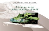 Growing Healthy Soil - Seattle.gov Home · Growing Healthy Soil Growing Healthy Soil . Healthy Soil An Investment In Your Garden ... supports an intricate web of soil life, which