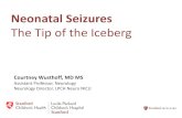 The Tip of the Iceberg · The Tip of the Iceberg Courtney Wusthoff, MD MS Assistant Professor, Neurology Neurology Director, LPCH Neuro NICU . Disclosures ... –Your patient is a