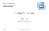 Fungal Structure - KSUfac.ksu.edu.sa/sites/default/files/fungal_structure_1.pdfFungal Structure 362 MIC Amal Alghamdi 4/7/2014 Dep. of Botany & Microbiology 1 King Saud University