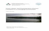 Humic Matter and Phytoplankton Nutrient Limitation in a … › 7556 › 1 › wentzky_v_150114.pdf · Humic Matter and Phytoplankton Nutrient Limitation in a Changing Environment