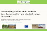 Investment guide for forest biomass based cogeneration and ...s2biom.alterra.wur.nl/doc/D8.3c_S2Biom_Investment...the use of indigenous forest biomass. The guide covers two options: