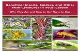 Beneficial Insects, Spiders, and Other Mini …...Beneficial Insects, Spiders, and Other Mini-Creatures in Your Garden Who They Are and How to Get Them to Stay This manual is part