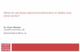 What do we know about homelessness in Wales and what works? · Benjaminsen, L. (2013) Sustainable ways of preventing homelessness: Results from the Housing First based Danish Homelessness