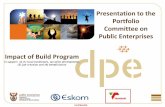 Presentation to the Portfolio Committee on Public Enterprises …pmg-assets.s3-website-eu-west-1.amazonaws.com/150318dpe.pdf · 2015-03-20 · Presentation to the Portfolio Committee