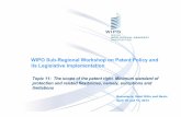 WIPO Sub-Regional Workshop on Patent Policy and its ...€¦ · WIPO Sub-Regional Workshop on Patent Policy and its legislative implementation, ... patented invention (new scientific