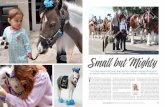 COURTESY PHOTO Small but Mighty - Mini Therapy Horses · 2019-10-24 · V ictoria Nodiff-Netanel was accustomed to gi-ants. An accomplished and lifelong horsewom-an, she competed