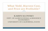 What Yield, Harvest Cost, and Price are Profitable? · Take home guesses Establishing an olive orchard for mechanical harvest adds about $1,400 in cost or $110 per year amortized