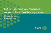 SAXS studies on mixtures, assemblies, flexible systems€¦ · EMBL Hamburg SAXS studies on mixtures, assemblies, flexible systems . I(s) s INTRO I Lecture 1: Introduction Lecture