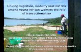 Linking migration, mobility and HIV risk among young ... · Linking migration, mobility and HIV risk among young African women: the role ... Gender-based violence Exposure to HIV