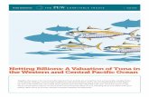 Netting Billions: A Valuation of Tuna in the Western and ... · Figure 1 Value of Tuna in the Western and Central Pacific Ocean by Species Skipjack has nearly twice the end value