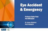 Eye Accident & Emergency - Auckland · 2020-04-24 · Eye Accident and Emergency • Acute or chronic red eye (Oph01) • Acute trauma to the eye (Oph02) • Child with red swelling