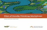 Pilot of Deadly Thinking Workshops - RRMH...Each workshop provided an introduction to mental health and wellbeing and stressed the importance of “yarning” and the development of