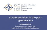 Cryptosporidium in the post- genomic era - NHS Wales · Cryptosporidium species distribution • England and Wales positives: 2012-13 (n = 4,071) 0.00 10.00 20.00 30.00 40.00 50.00