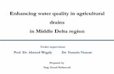 Enhancing water quality in agricultural drains in …iwra.org/member/congress/resource/ABSID212_Enhancing...Enhancing water quality in agricultural drains in Middle Delta region Prepared