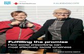 Fulfilling the promise - British Red Cross ·
