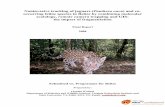 Noninvasive tracking of jaguars ( Panthera onca ) and co ... · Noninvasive tracking of jaguars (Panthera onca) and co- ... Americas, represent two of the main threats to these wide-ranging