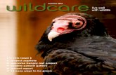 live well with wildlife - WildCaresupport.wildcarebayarea.org/.../WC_Summer2018_WEB.pdf · enjoy happy hour with hawks Join us on July 12 and August 21 for WildCare & Wine! These