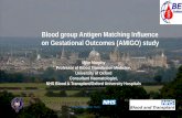 Blood group Antigen Matching Influence on Gestational Outcomes (AMIGO … · AMIGO Research Question: Is a policy for blood group antigen matching effective in decreasing the risk