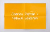 Natural Selection Charles Darwinmedia.virbcdn.com/files/57/5b02cd4e7d380d18-Darwinand...Charles Darwin & Natural Selection Darwin Born in Shrewsbury, England, in 1809 Studied medicine