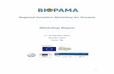 Workshop Report - ABS Initiative€¦ · Workshop Report 4 – 6 February 2013 ... Presentation: The DOPA Stephen Peedell (JRC) 2.1 Introduction to BIOPAMA BIOPAMA aims to improve