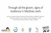 Through all the gloom, signs of resilience in Maldives reefs · Most disappointing part of Maldives holidays 1998 Recovery? –from an affected baseline Pisapia, C. et al. Coral recovery