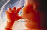 Le placenta - The Ottawa Hospital...nta-abruptio-placenta.html 4 Le placenta –module d’app entissage Quel est le rle principal du placenta? • Le placenta relie le fœtus à sa