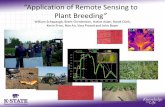 Application of Remote Sensing to Plant Breeding · “Application of Remote Sensing to ... Remote sensing Using instruments mounted on satellites, in planes, etc. to produce images
