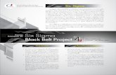 THAILAND PRODUCTIVITY INSTITUTE ...Black Belt Project Black Belt Six Sigma Certificate Six Sigma 5anUs:ãDã Define Phase Six Sigma 6 Sigma nau Six Sigma "Certified Black Belt" 2.