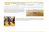 RABOTTI S.r.l. INJECTORS VALVES...OLETO00120 (ackflow stabilisation bar 0.5 bar -picture 1) Valve 0.5 bar is used in osch solenoidal injectors (110 and 120, 124), Denso injectors (