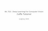 BIL 722 : Deep Learning For Computer Vision Caffe Tutorialaykut/classes/spring2016/bil722/... · BIL 722 : Deep Learning For Computer Vision Caffe Tutorial Çağdaş BAK