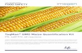 TaqMan GMO Maize Quantification Kit - UAB Barcelonajornades.uab.cat/.../files/TaqMan_GMO_maize_quantification_kit.pdf · TaqMan® GMO Maize Quantification Kit PN. 4481972, 48 reactions