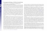 Supporting Information - PNAS...Computational Biology Solutions Using R and Bioconductor (Springer, New York). 3. Qin LX, et al. (2006) Evaluation of methods for oligonucleotide array
