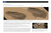 NASA - NASA Mars Rover Fyzes First Soil Samples · Print Close NASA Mars Rover Fully Analyzes First Soil Samples 12.03.12 NASA's Curiosity Mars rover documented itself in the context
